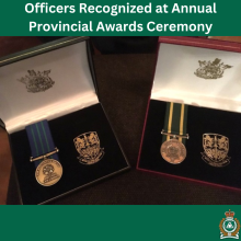 Photo of a Medal of Meritorious Service and a Medal of Valorous Service in display boxes