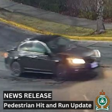 News Release January Hit and Run Pedestrian Update